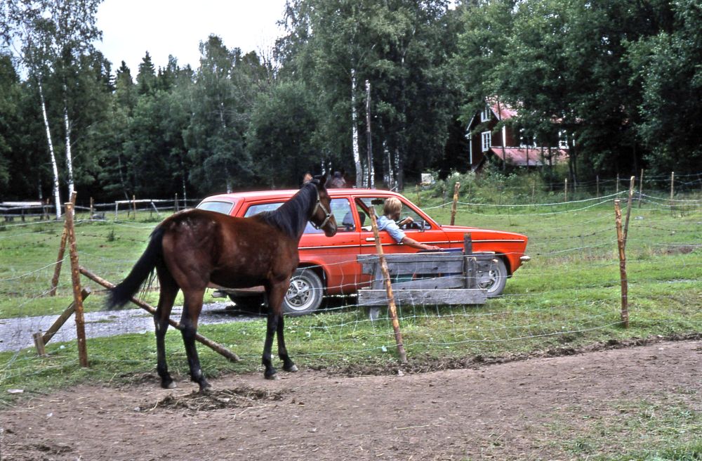En arbetsdag med lantbrevbärare Mikael Mattsson. Mattsson är på väg till Rocksta kvarn. Rocksta kvarn hade uppfödning av kaniner under krigsåren.