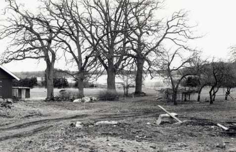 Storsjön vid Lindholmens gård i Orkesta