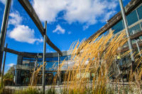 Kulturhusparken och innergården. I bakgrunden syns Kulturhusets fasad med fönster mot parken. Växterna framför Kulturhuset vajar i septembervinden. Vallentuna Kulturhus och bibliotek ligger vid Allévägen, mitt i Vallentuna centrum. Huset invigdes hösten 2012 och de ljusa, rymliga lokalerna på drygt 2000 kvadratmeter rymmer ett stort och modernt bibliotek, utställningshallar, kreativ verkstad, café och flera scener. Här bedrivs verksamhet av främst kulturförvaltningen och fritidsförvaltningen, men också av föreningsliv, studieförbund och andra aktörer. Huset är ritat av Lars Gauffin på Nyréns arkitektkontor. Stockholms läns hembygdsförbunds nybyggnadspris tilldelades Vallentuna Kulturhus 2013. Library Ranking Europe (LRE) har gett Vallentuna bibliotek fem stjärnor av sex möjliga, med omdömet "excellent" åren 2017 och 2018. 