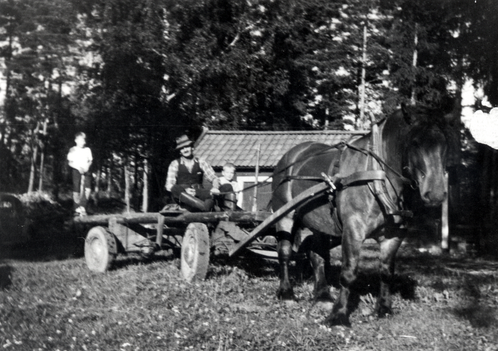 Åkare Elis Hedlund med hästen Saga spänd framför vagnen utanför Kristineberg vid Fågelsången sommaren 1957.  På flaket står sommargästen Christer Larsson.  På kortets baksida står:  "God Jul farbror Hedlund tack för i somras.  Hälsningar Christer".  På byn kallades Elis Hedlund "Hedlund med hästen"