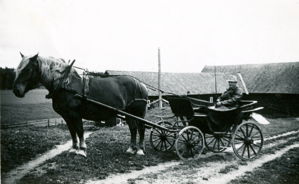 Edvin Jansson vid Mellangården i Orkesta Lundby sitter på kuskbocken i trillan, som dras av ardennerstoet  Malla.  Edvin har hämtat sin morbror Axel Björklund från Stockholm vid tåget på Lindholmens station. I bakgrunden gårdens ekonomibyggnader