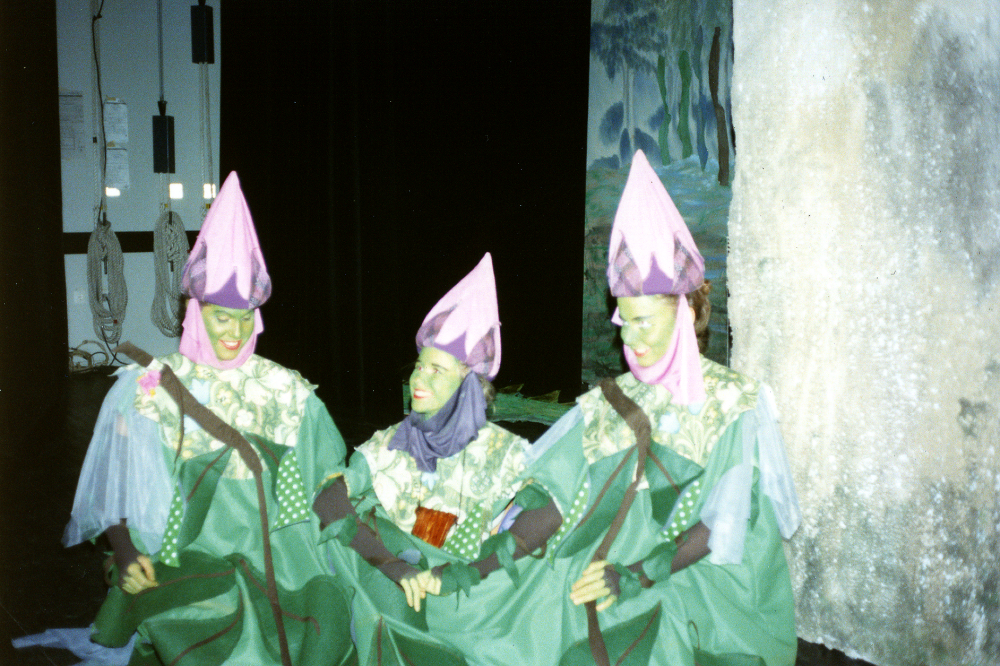 Operan Trollflöjten av W A Mozart sätts upp av Roslagens Musikdramatiska Ensemble (Roslagsoperan) på Vallentuna teater bl a 31 december samt 1 januari 1990. Regi Mikael Hylin, dirigent Bo Ericsson, scenografi Eva Rahmqvist, kostym Marie-Louise Jansson.  Här har tre väsen har intagit scenen