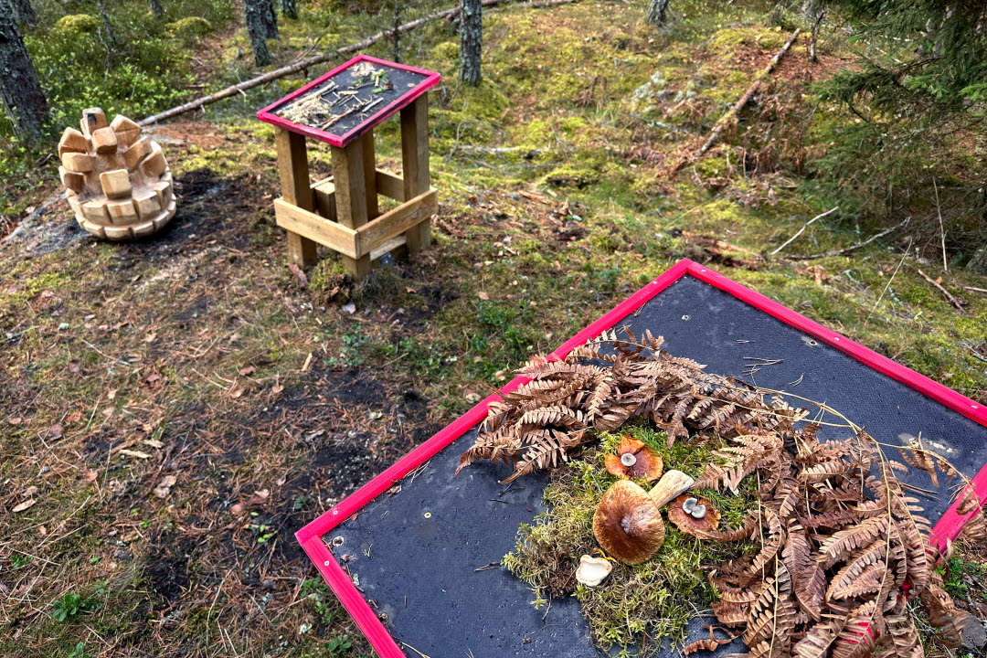 Upptäckarstigen