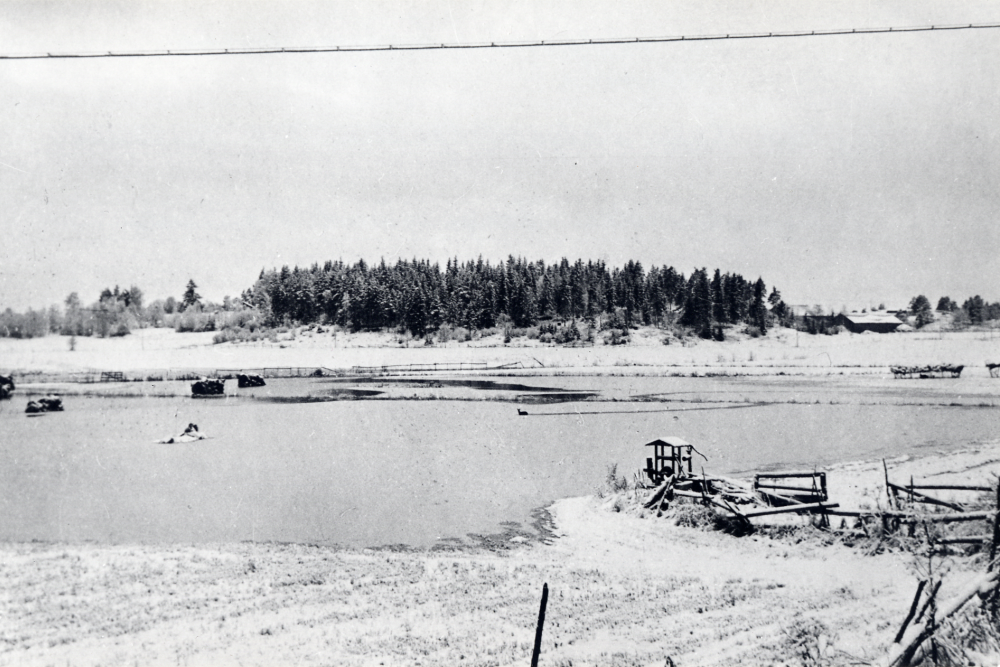 Helgösjön  har svämmat över.  Höhässjorna  står i vatten och ett  rådjur  vadar i vatten. I bakgrunden syns  Bergs gård