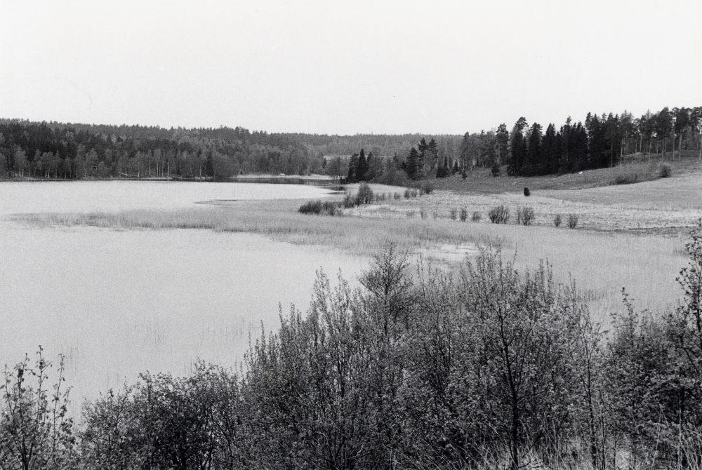 Garnsviken mot norr från Udden.