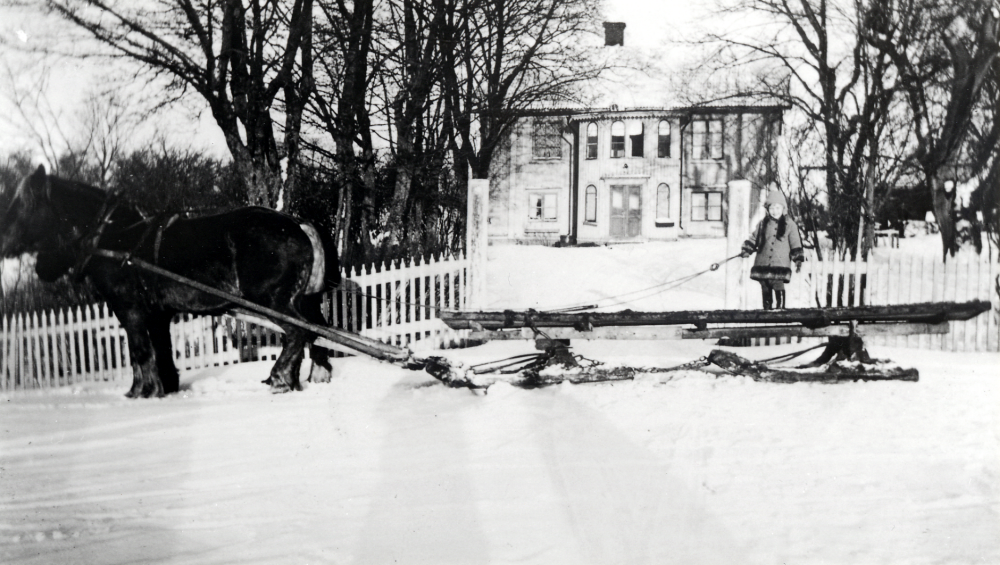 Ormsta gård i Vallentuna, sedd från söder.  Framför huset utanför staketet står en häst som drar en släde med två 'boggier'.  Ovanpå släden står Ingrid Palm, dotter till ägaren Hilton Palm och hans hustru Rut