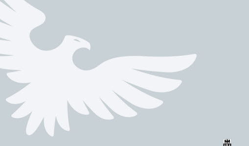 Vallentuna gymnasiums örn-symbol