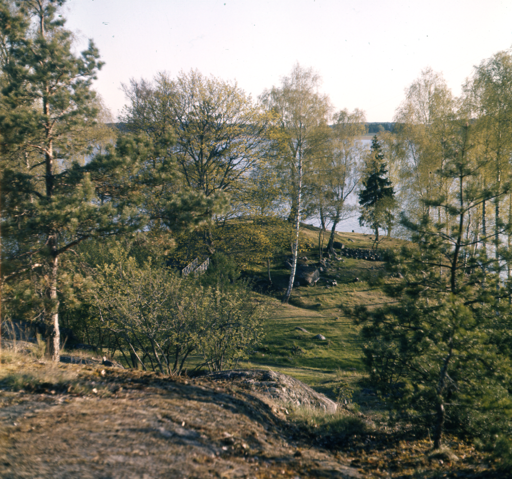 Straxs till vänster i bildens mitt syns bron som ledde ut till ön som kallas "Lustigkulle".