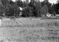 Del av Rundqvist handelsträdgård med stora odlingar av sallat. Ett år då det inte odlades blomkål på åkern närmast utan slåttervall till Uddnäs gård. John och Svea Rundqvist flyttade från Hässelby 1942 och köpte Ensta gård i Ormsta. Där bedrev de grönsaksodling fram till 1972 då området bebyggdes.