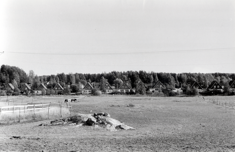 Utsikt mot Snapptuna från Foderby på vägen mot Molnby gård. Kedjehusen har adress Violvägen. På ängen framför husen betar hästar
