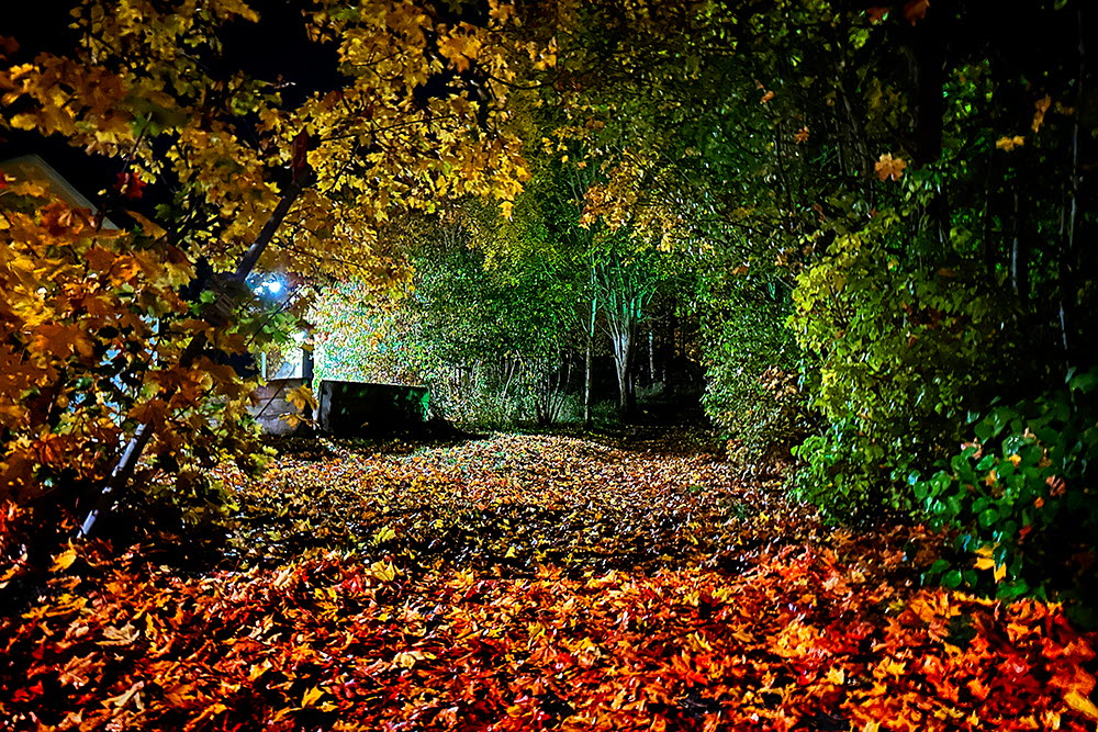 Centrala Vallentuna oktober 2025