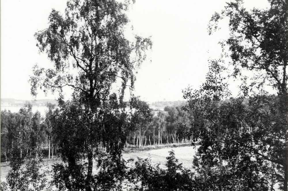 Utsikt från parken vid Bällsta gård mot Vallentuna kyrka före 1936.  I kanten mot Kyrkvikens strand finns en gärdsgård.  Marken öster om stranden är odlad