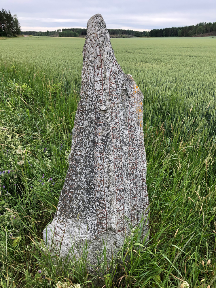 Runsten U338 med inskrift från 1000-talet e.kr. Den är oornamenterad. Texten lyder: ”Torsten och Ragnfrid reste denna sten efter Björn i Granby, Kalvs broder. Honom dräpte Vigmund. Gud hjälpe hans ande och själ bättre än han förtjänade”.