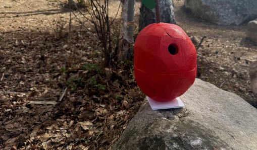 Den vinnande fågelholken äpplet som tog hem en andra vinst i SM