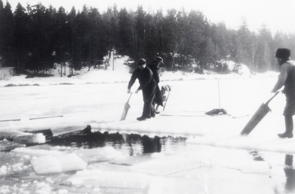 Isupptagning på Helgösjön i Frösunda. Isen stackades med sågspån och användes i isskåp m m.  På isen t v står Ejnar Carlsson och brodern Emil Carlsson båda från Frösunda prästgård, och Helge Andersson, Hamra gård med en issåg t h

Foto ev G E Carlsson