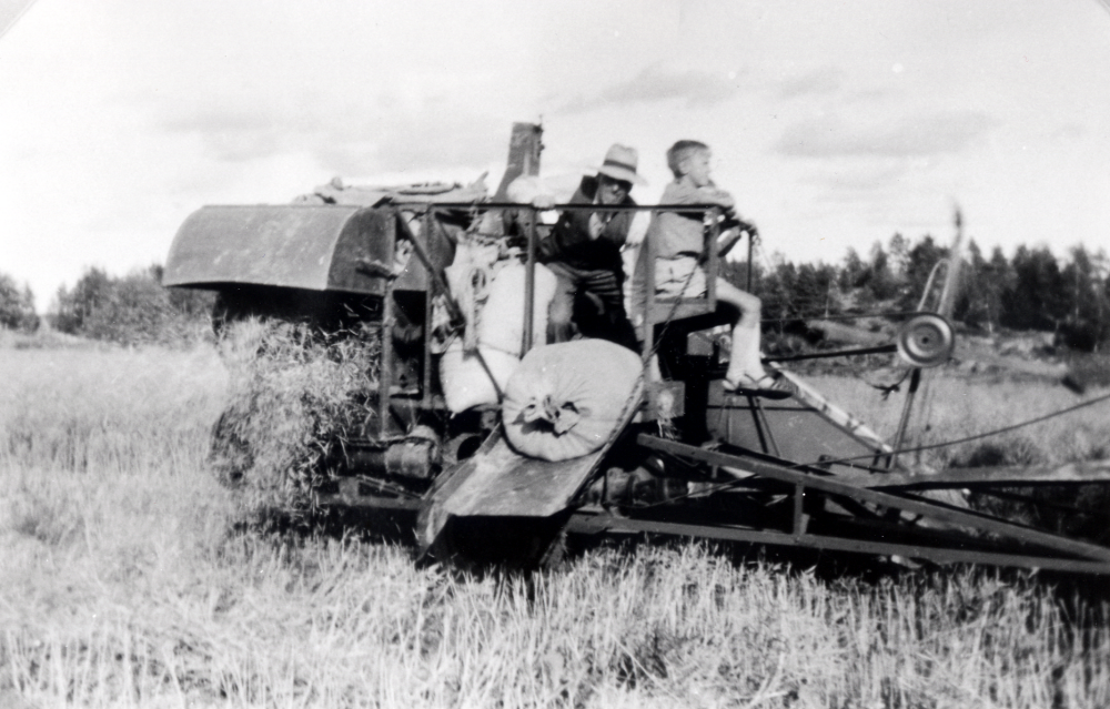 Rapsen skördas med tröska vid Ekskogens gård på gärdet mellan Lillgården och Karlberg öster om vägen.  Manfred Ekholm, gårdens ägare, kör tröskan och adoptivsonen Timo sitter på säckknytarens plats, hans favoritplats (men då framlänges) på tröskan.  Tröskan var den tredje i Uppland och kom från Amerika i tre stora trälådor för hopmontage som gjordes i egen regi.  Märket var Allechalmers.  Obs - det tvärställda verket var dukmatat i förhållande till skärbordet