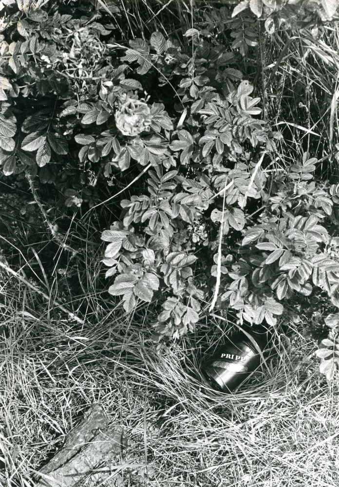 Nedskräpning, en gammal ölburk, i naturen på parkeringsplatsen vid Skesta hage.
•Fotografiet ingår i bildserien ”Vardagsliv i Vallentuna kommun” av Rachael Gough-Azmier & Gunilla Blomé, Haga Studios HB.