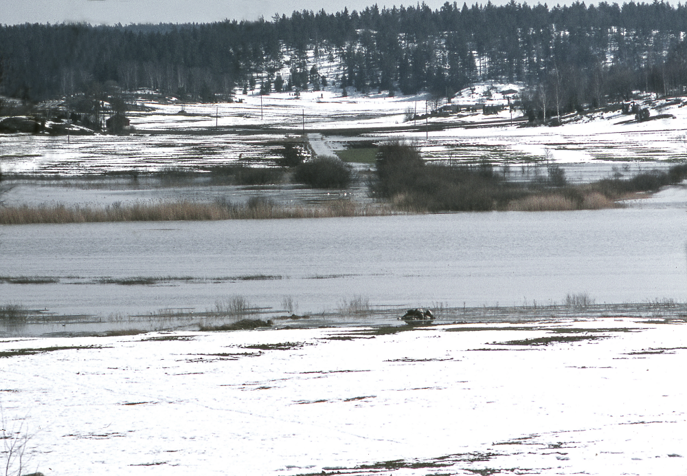 Vy med sångsvanar som kan skymtas till vänster om det svarta buskaget vid Lundbydiket från Kustahållet.Fotografiet ingår i bildserien Angarnssjöängen 1970 som köptes av Vallentuna kommun och gjordes mot bakgrund av den oro som fanns bland naturvänner då Stockholm stad planerade en ny stad i området med upp mot 100 000 invånare. Så småningom övergavs planerna och istället bildade Länsstyrelsen naturreservat 1982.