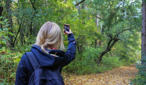 Ung tjej tar selfie i skogen