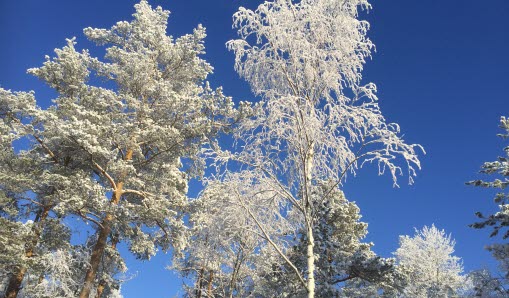 Väg och bostadsområde i vinterskrud