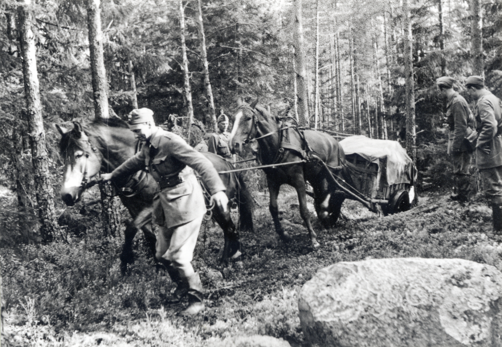 Fortfarande på 1960-talet används hästen som dragare vid en militär manöver i Hälsingland.  Conny Almén från Toftesta gård i Össeby-Garn står som nr 2 fr h.  Fotografi framtaget i samband med utställningen Hästen och människan i Vallentunasalen  januari 1993