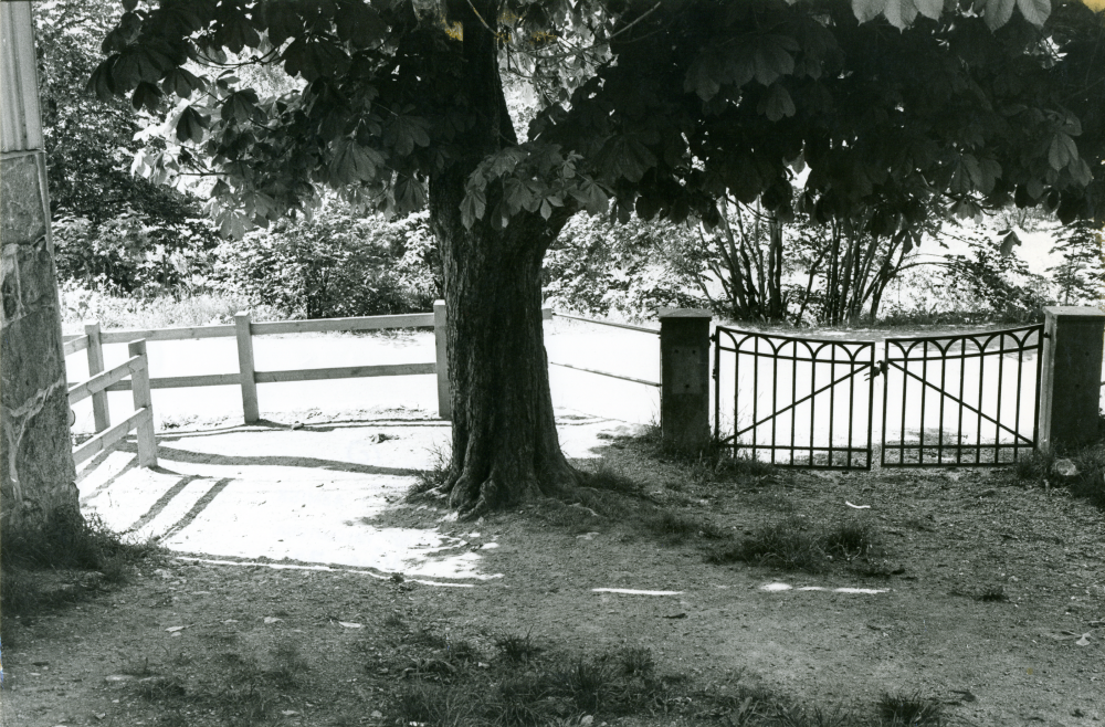 Össeby-Garns skola, dokumenterad en av de sista dagarna innan skolverksamheten läggs ner. Vårdträdet, en kastanj, skuggar den gamla skolgrinden.
•Fotografiet ingår i bildserien ”Vardagsliv i Vallentuna kommun” av Rachael Gough-Azmier & Gunilla Blomé, Haga Studios HB.
