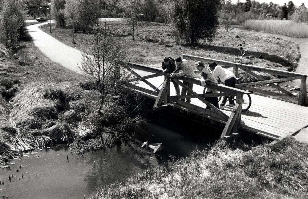 Fiske från bron över ån vid gångvägen från Bällsta – Vallentuna centrum