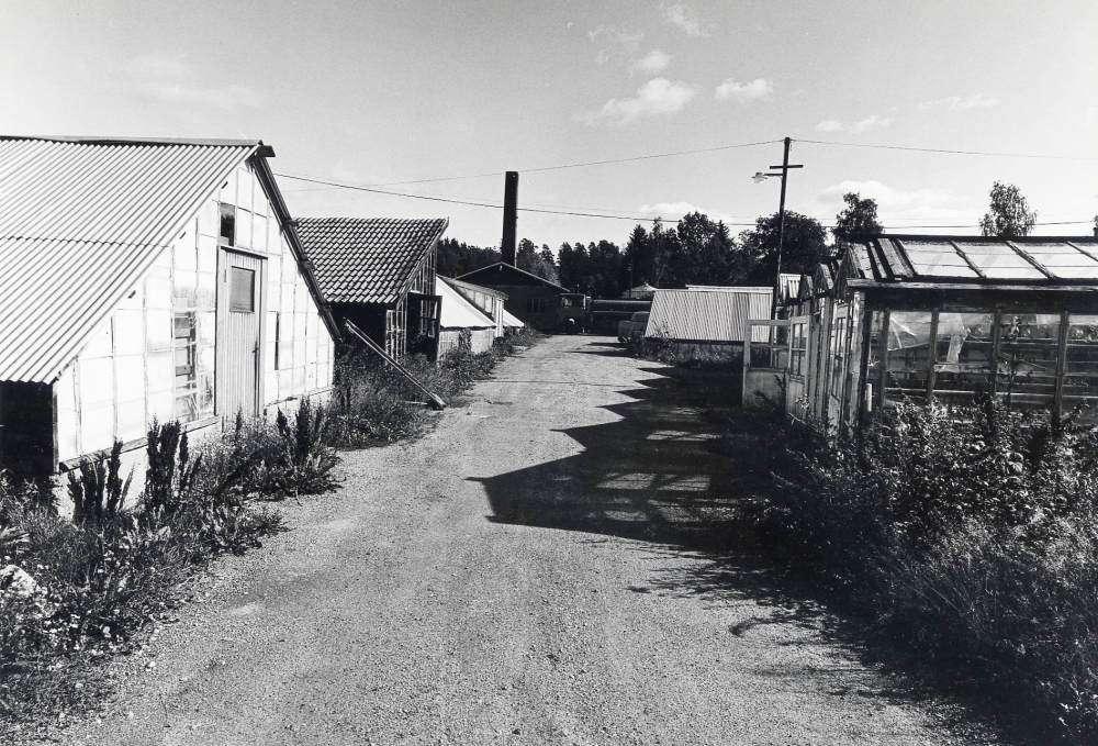 Heidmarks handelsträdgård i  Bällsta  startades 1927 av  Helge Pettersson.  Man odlade rosor, pelargoner, azaleor, julstjärnor, tulpaner och andra lökväxter, krysantemum,   tomater m m. 1975 såldes marken till  Skånska cement  och verksamheten upphörde 1979.  Här syns gamla  växthus  som under senare år använts som lagerlokaler