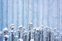 Kulturhusparken. Växterna framför Kulturhusets blågrå fasad har fått ett täcke av snö. Vallentuna Kulturhus och bibliotek ligger vid Allévägen, mitt i Vallentuna centrum. Huset invigdes hösten 2012 och de ljusa, rymliga lokalerna på drygt 2000 kvadratmeter rymmer ett stort och modernt bibliotek, utställningshallar, kreativ verkstad, café och flera scener. Här bedrivs verksamhet av främst kulturförvaltningen och fritidsförvaltningen, men också av föreningsliv, studieförbund och andra aktörer. Huset är ritat av Lars Gauffin på Nyréns arkitektkontor. Stockholms läns hembygdsförbunds nybyggnadspris tilldelades Vallentuna Kulturhus 2013. Library Ranking Europe (LRE) har gett Vallentuna bibliotek fem stjärnor av sex möjliga, med omdömet "excellent" åren 2017 och 2018.