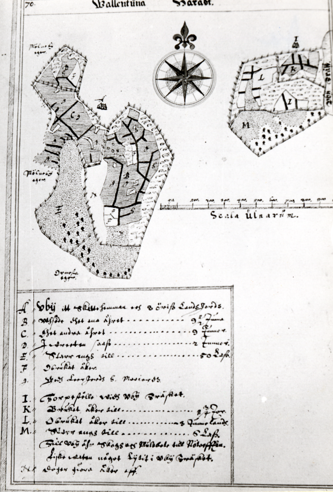 Delkopiering av karta över Wallentuna socken 1630.  Ägor som tillhör Ormsta och Mölneby (Molnby)