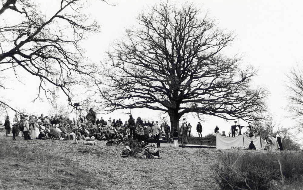 Gustav Vasa föddes på Lindholmens gård i Vallentuna 1496. Under maj  månad firades i Orkesta Gustav Vasa 500 år .  Föreningar och enskilda arbetade gemensamt för ett festligt och minnesvärt jubileum.  På Vasakullen pågick ett Krönikespel i Per Norbäcks regi.
