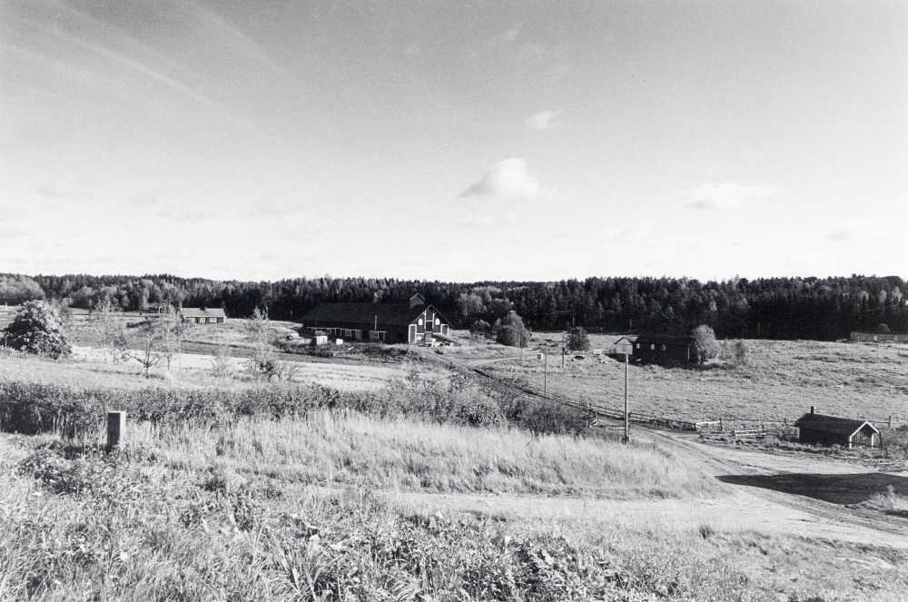 Vägen till Backa gård i Kårsta. En grindstolpe syns t v. I bildens mitt ligger gårdens loge. I de två husen t h om logen låg tidigare sågen, det vita var maskinhus. Det lilla huset t h är ett pumphus. Här stod tidigare också en vindmotor, som med vindens hjälp pumpade upp vattnet från brunnen. Huset t v om logen är Långstugan