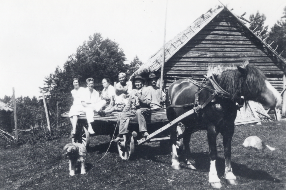 Åkare Elis Hedlund vid tömmarna och kyrkovaktmästare Bäck med pipa, Bäcks hushållerska Selma Andersdotter samt   sommargäster under höskörden utanför Bäcks ladugård.  Bäck hade 2 kor men ingen häst.  Både Hedlund och Bäck bodde vid Fågelsångsvägen. Allihop sitter på en vagn dragen av en häst