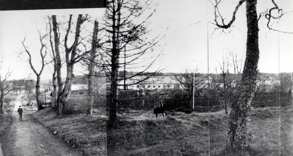 Bällsta gård. Utsikt från kullen mot öster och 'fabriken' Santorinverken.  Där tillverkades från början träullsplattor, senare betongelement.   Byggnaden  brann ner 1959.  På dess plats låg tidigare en stor ladugård.  En lada? skymtar där nuvarande Bällstavägen svänger mot söder.  I övrigt är marken inte bebyggd med villor.   Fotomontage av tre fotografier. På 'mittenbilden' står en kvinna. En man går på vägen upp mot gården t v.  Se även 10 01 04: 027