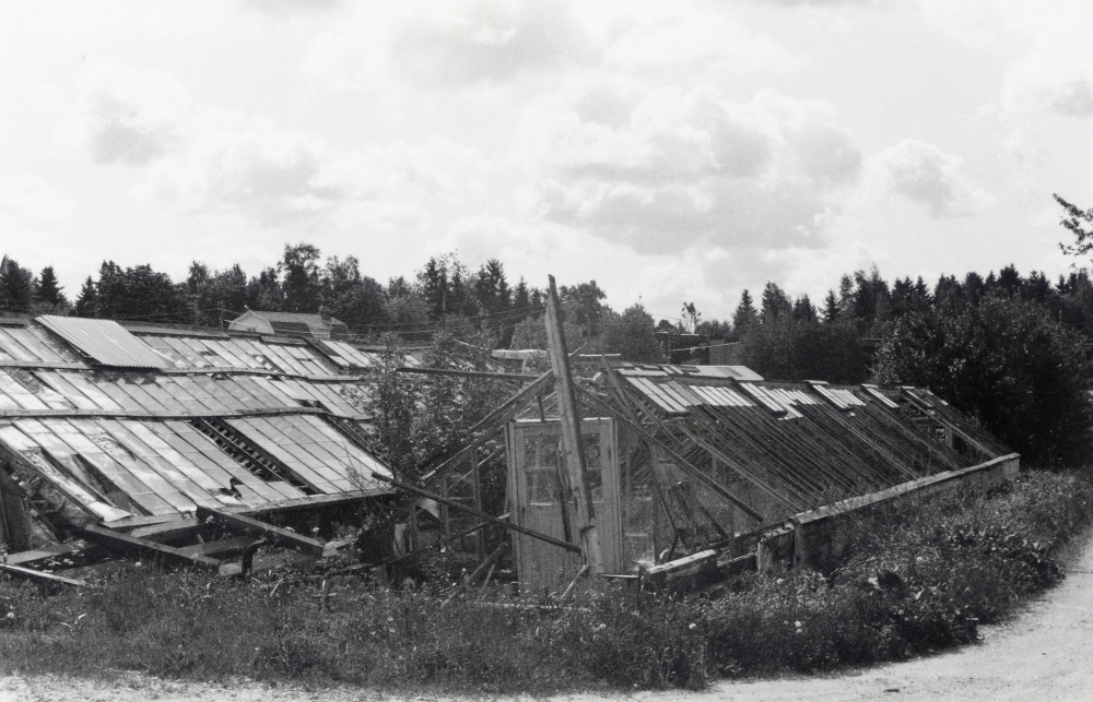 Heidmarks handelsträdgård i  Bällsta  startades 1927 av  Ture och Helge Pettersson.  Sönerna Gösta och Karl-Erik tog släktnamnet Heidmark.  Växthusen används inte mer.  Inom kort skall området bebyggas med bostadsrätter med små och stora lägenheter.  Området får namnet Örtagården.  Utsikt mot sydost