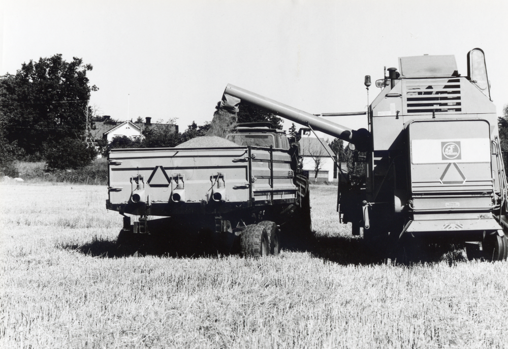 Skördetröska på Lappdals gård.  Här tömmer Claes Bergman sädeskornen från skördetröskan i en traktordragen vagn
