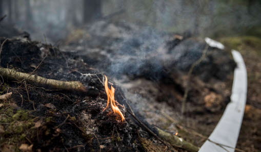 Liten eldlåga med rök i skogen.