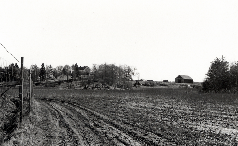 Molnby gård sedd från nordväst.  I förgrunden har planterats energiskog på åkermarken, t v syns ett stängsel som inhägnar en flock hjortar som tillhör gården.