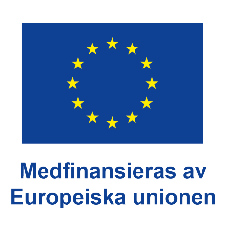 EU-flag