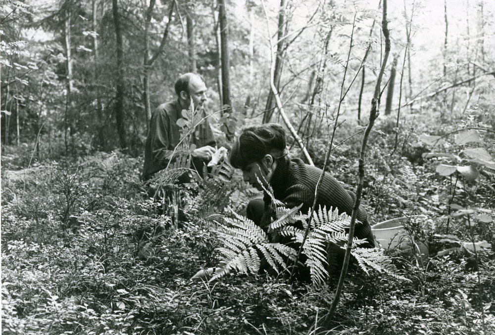 Kurt och Ulla Dahlström plockar blåbär i kommunens skog.
•Fotografiet ingår i bildserien ”Vardagsliv i Vallentuna kommun” av Rachael Gough-Azmier & Gunilla Blomé, Haga Studios HB.