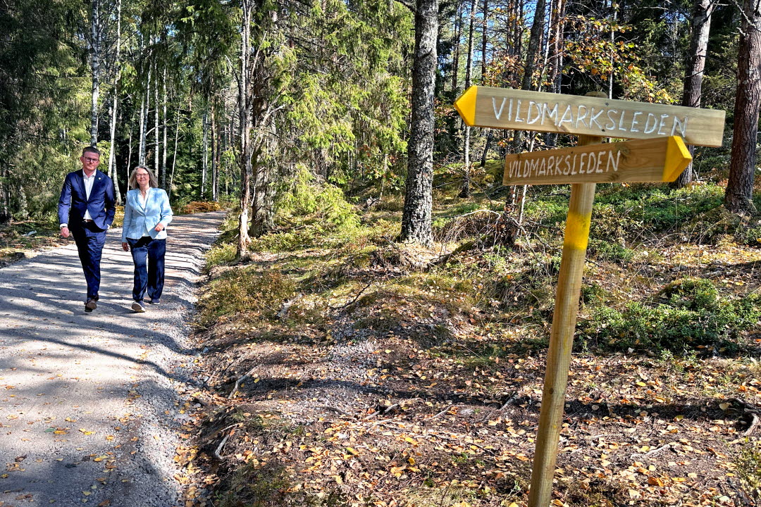 Två människor vandrar i skogen