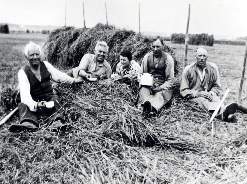 Kafferast  under  skördearbetet  vid  Markims prästgård . Arrendator  Gottfrid Jansson  håller i  kaffepannan  som hans hustru  Elsa Jansson  har burit ut till skördearbetarna