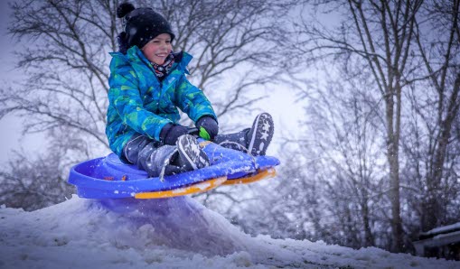 Gosedjur läser i en sagobok.