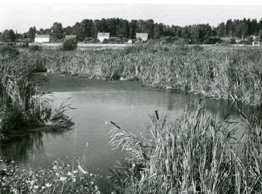 Ormstaån med villor längs Lindholmsvägen i bakgrunden.