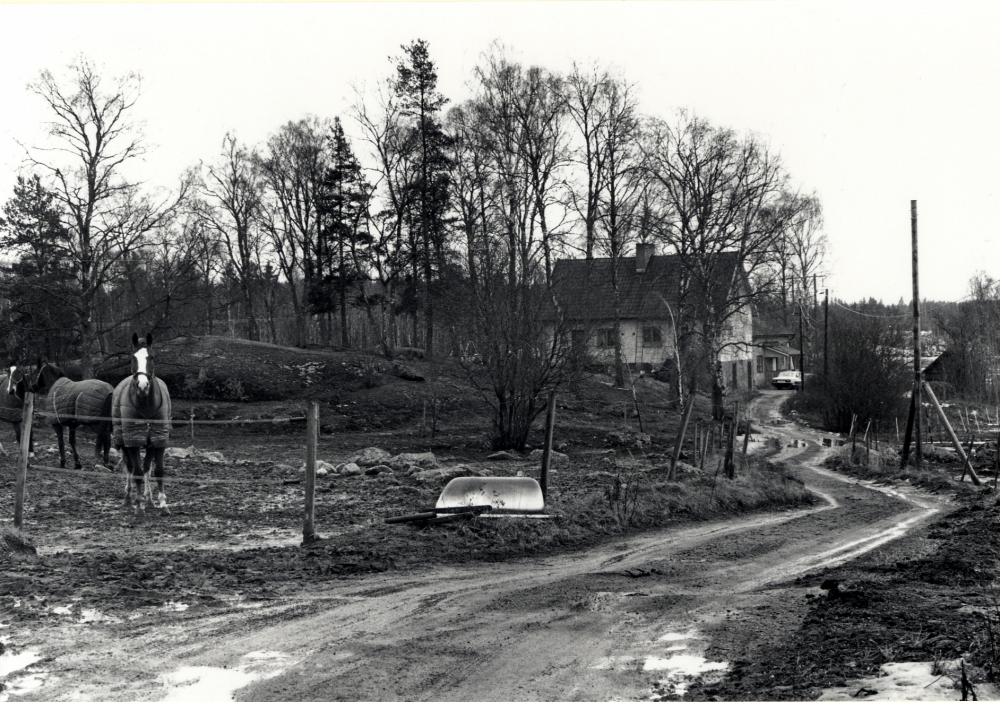 Bostadshus vid Veda ridcenter.  Hästar med täcke syns i en hage på vänster sida om vägen