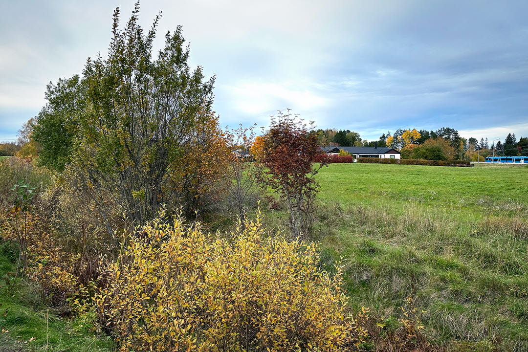 Snapptunaån, före röjning