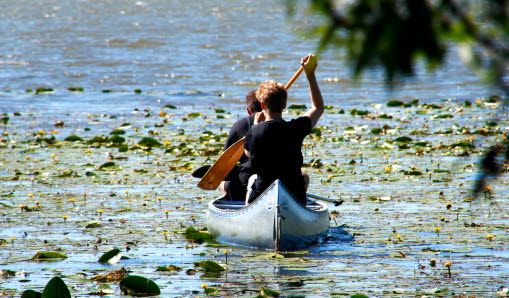 Två personer som paddlar i en kanot