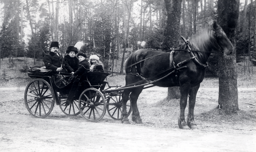 I en droska från Granby gård sitter August Johansson, hans hustru Selma samt barnen Bertil och Märta. Hästen har en mule som liknar en älgs. Enligt Åsa Almqvist i Brottby förekom denna defekt ibland bland hästar