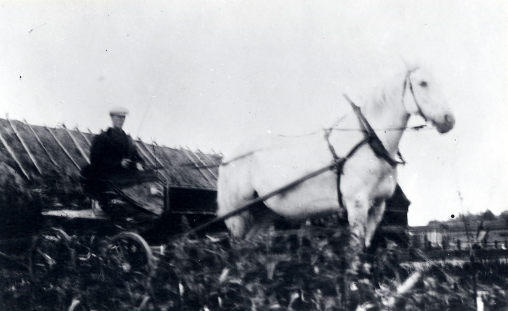 Emil Carlsson, Prästgården i Frösunda på kuskbocken vid körning av prästen från Frösunda till Kårsta. Emils far Gustav Emil Carlsson, arrenderade tidigare Stora Ekeby gård i Vallentuna och hade då skjutshållet vid Vallentuna järnvägshotell Flugan fram till 1921, då skjutshållet upphörde. 1922 flyttade familjen till Frösunda prästgård