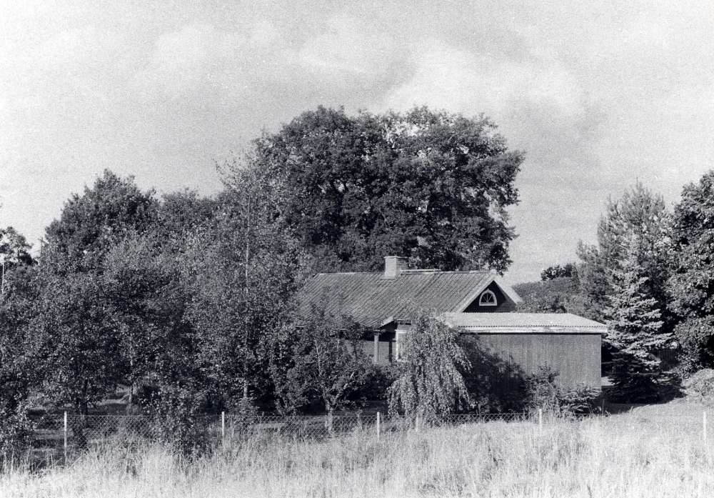 Torpet Lovisedal,  med vildvuxen trädgård mitt bland villabebyggelsen i Bällsta.  Sedan 1935 bor Elisabeth Olsson i huset, först som hyresgäst, senare som ägare.  1998 bor hon fortfarande kvar,  i ett hus utan vatten och avlopp, 90 år gammal